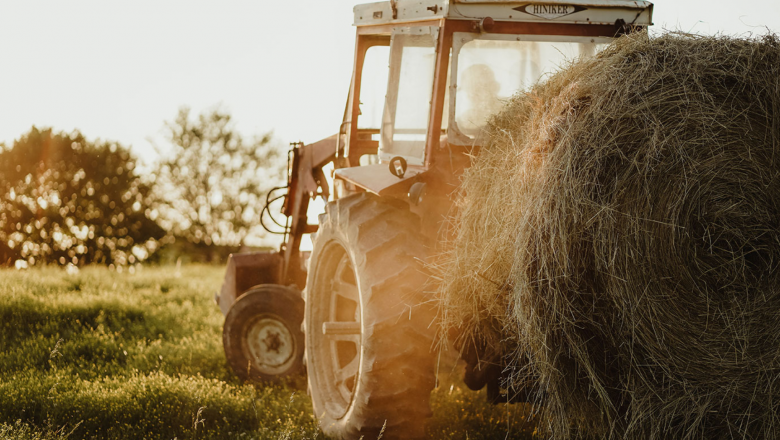 Agriculture Orientation Index