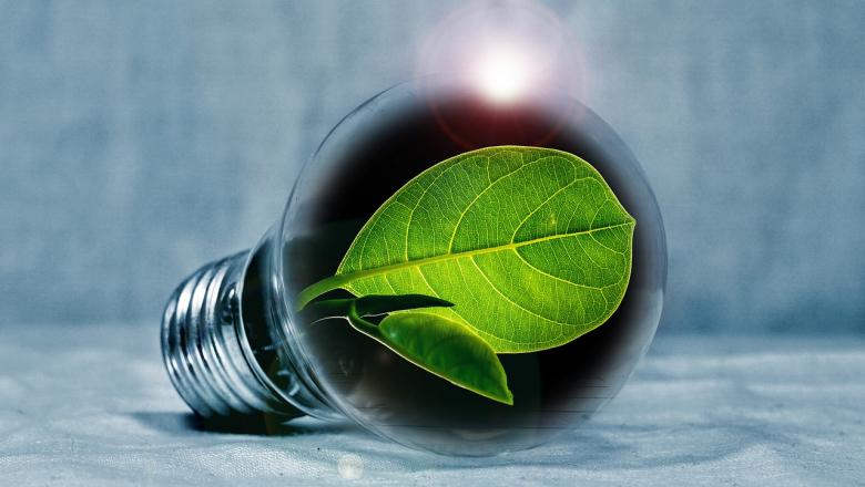 From Fossil Resources to Biomass: A Business and Economics Perspective