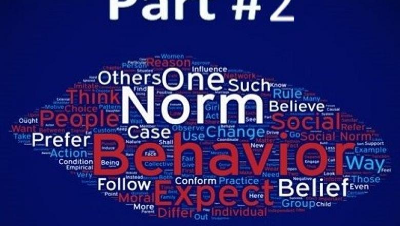 Social Norms, Social Change II