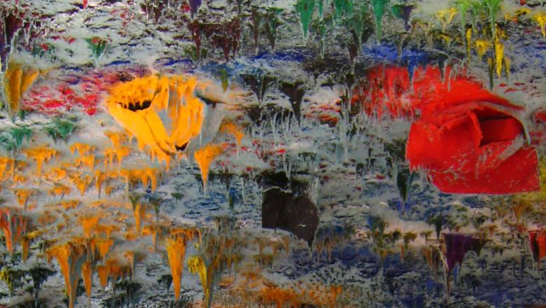 أداة التعلم الإلكتروني حول مجلس حقوق الإنسان التابع لمفوضية حقوق الإنسان