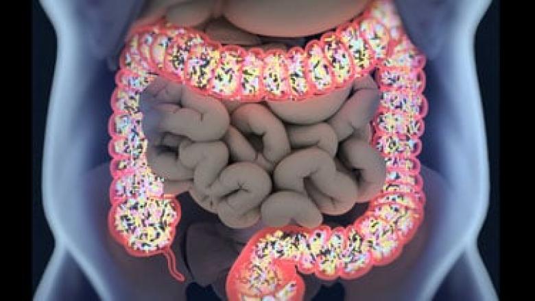 Human Microbiome