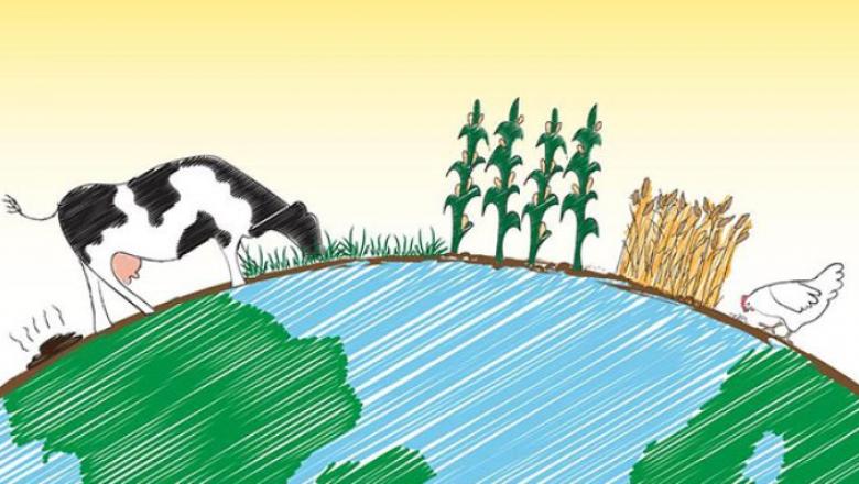Sustainable Food Security