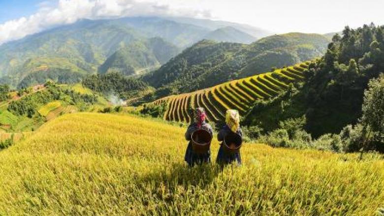 Landscape Governance: Collaborating Across Sectors and Scales