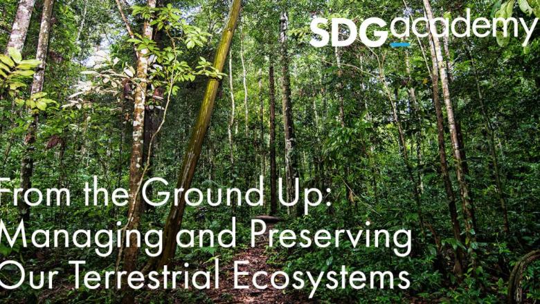 From the Ground Up: Managing and Preserving Our Terrestrial Ecosystems