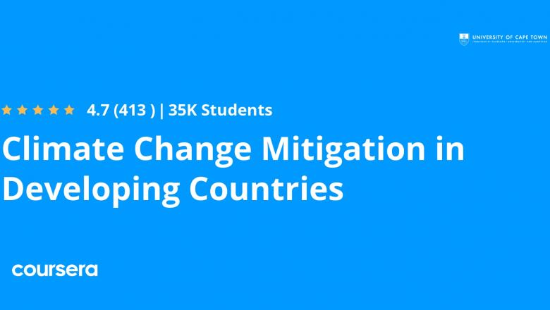 Climate Change Mitigation in Developing Countries