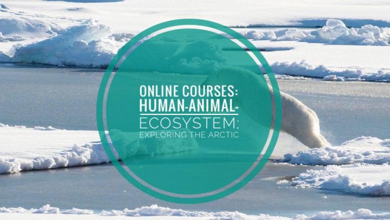 Global Health At The Human-Animal-Ecosystem Interface