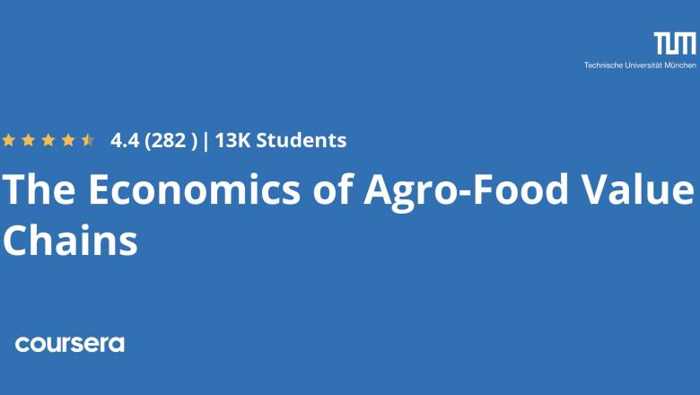 The Economics of Agro-food Value Chains