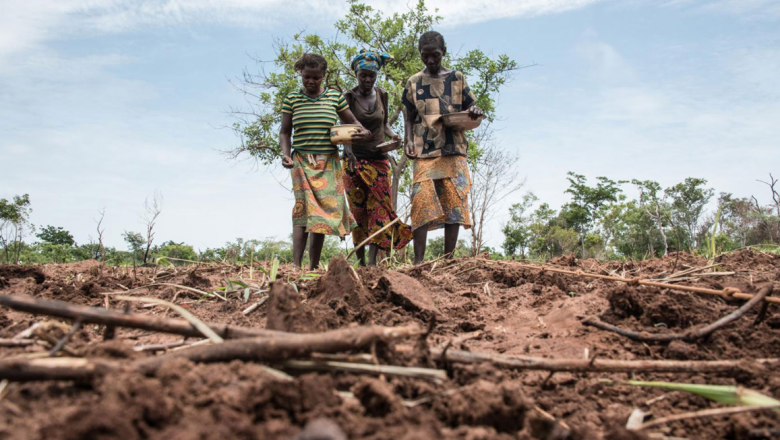 Climate-Smart Soil and Land Management