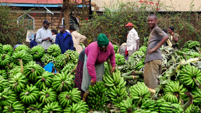 Improving Nutrition through Agriculture and Food Systems