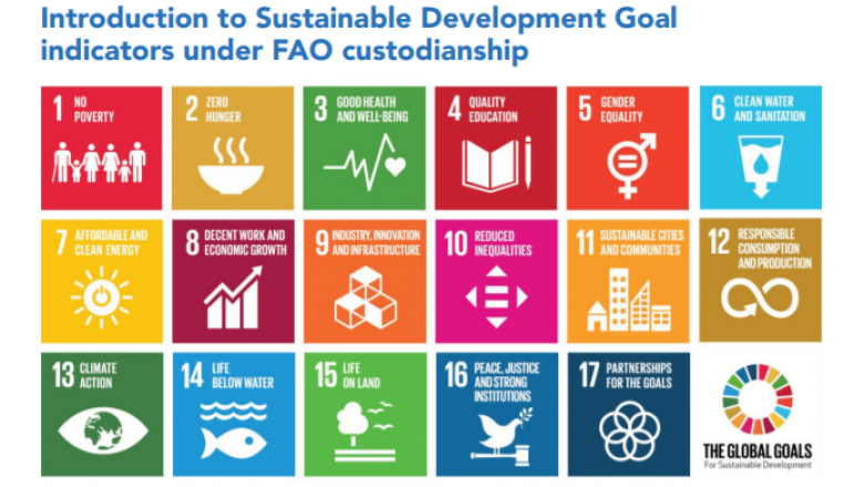 Introduction to Sustainable Development Goal indicators under FAO custodianship