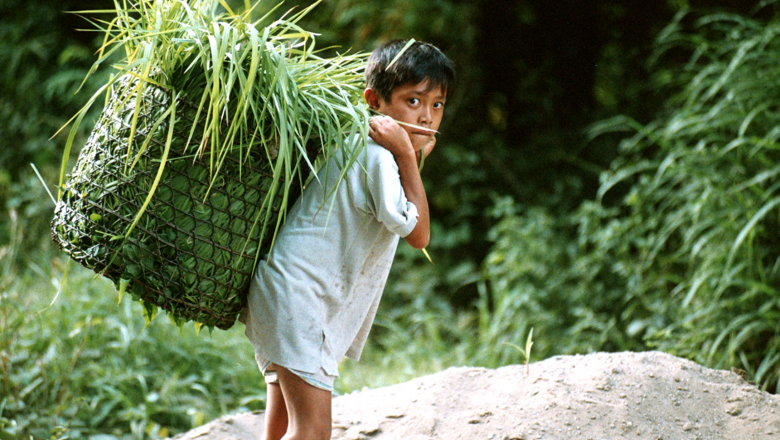 child labor in agriculture