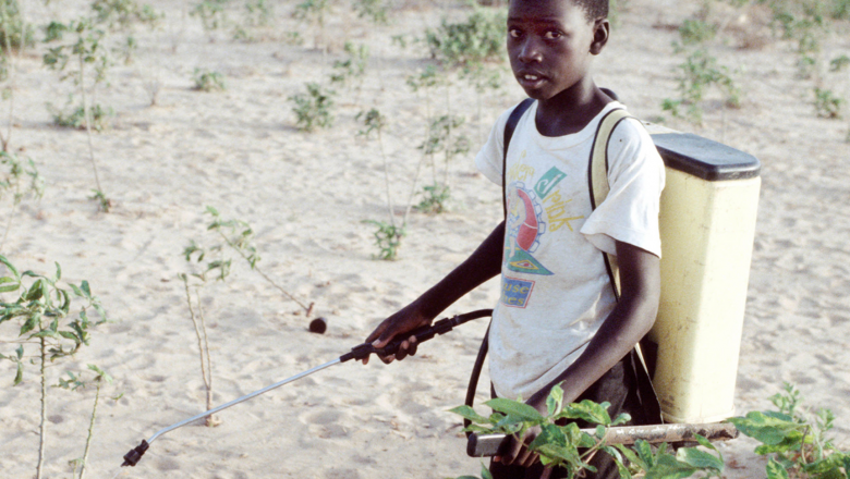 Pesticide management and child labour prevention
