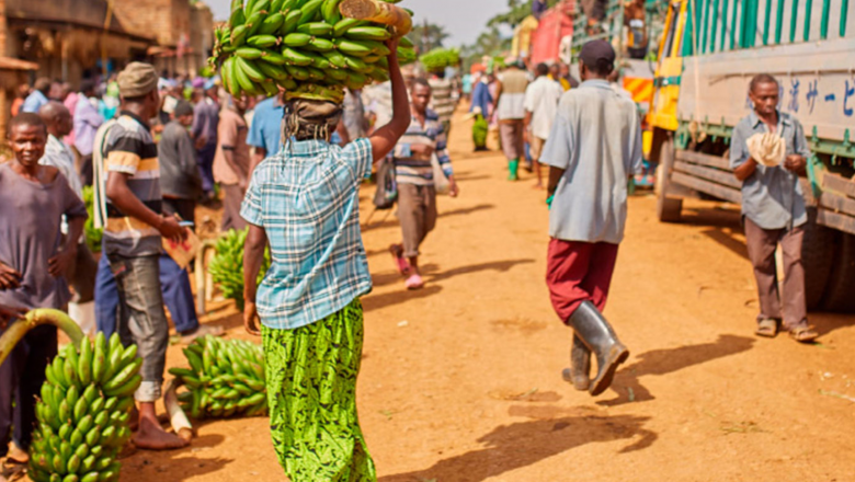 Understanding The Risk Environment in Agriculture