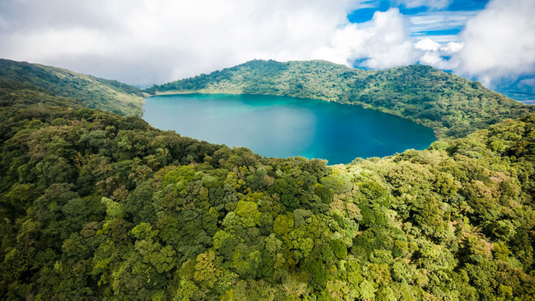 Forest Area and Sustainable Forest Management