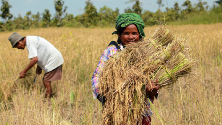 Gender in Climate-Smart Agriculture Projects