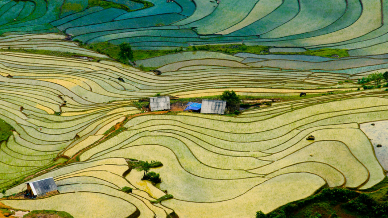 Spatial Planning in the context of the Responsible Governance of Tenure