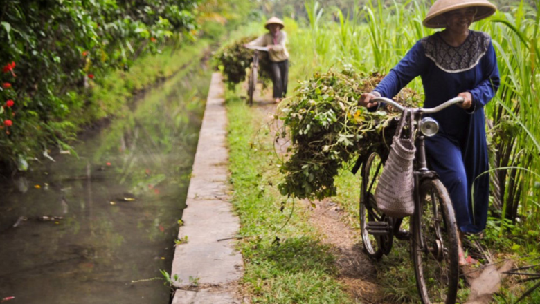 Climate-Smart Crop Production