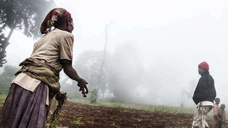 Sustainable Agricultural Land Management Projects