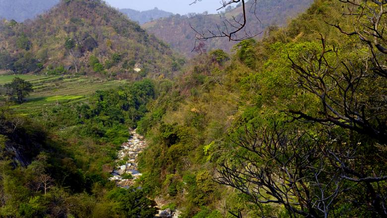 Carbon Monitoring in CDM Afforestation/Reforestation Projects