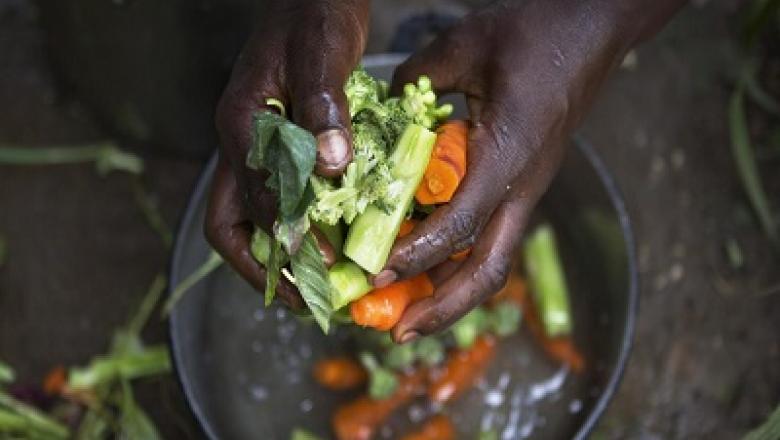 Introduction to Nutrition