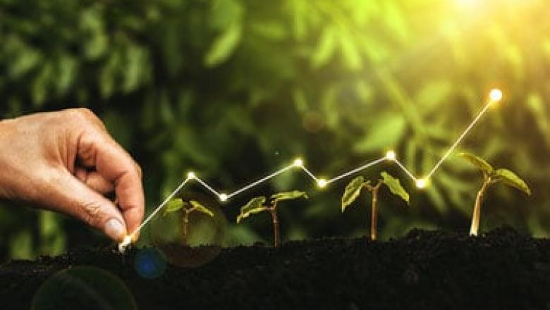 Economics and Policies in a Biobased Economy