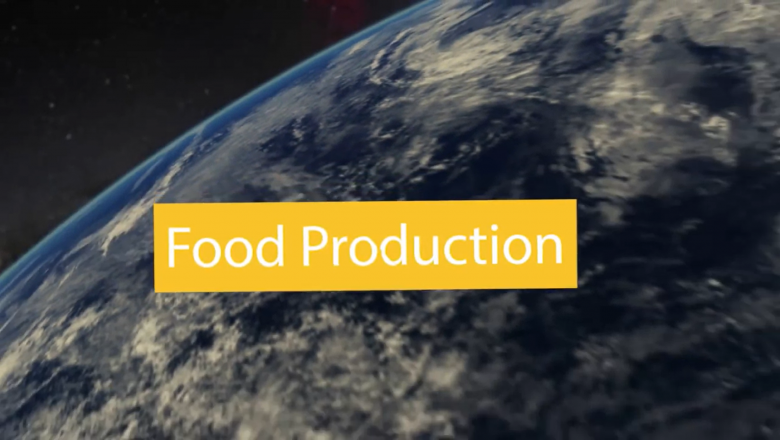 Feeding the World