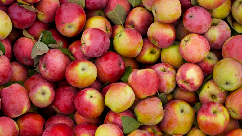 Food Loss Analysis Case Study Methodology