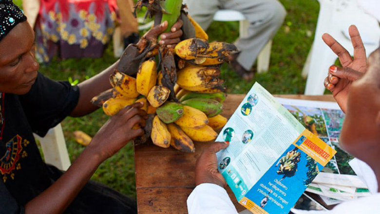 Assessing risk in agriculture