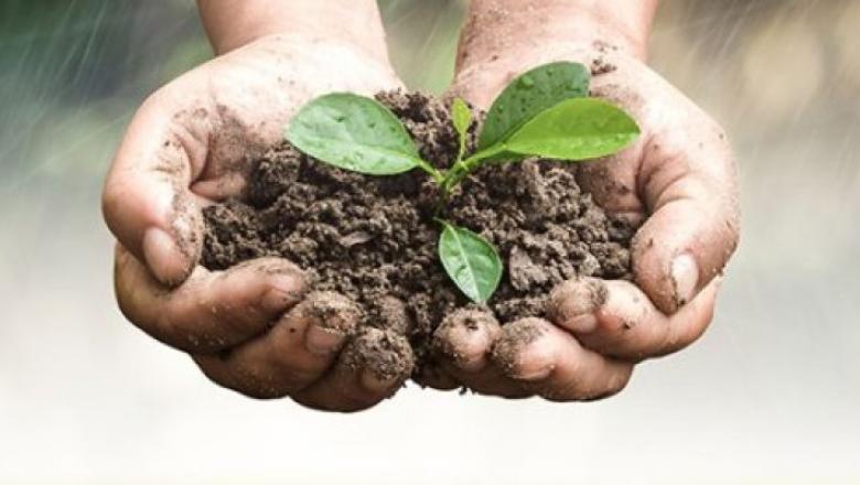 Sustainable Soil Management