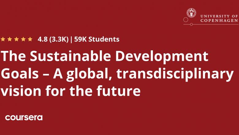 The Sustainable Development Goals – A global, transdisciplinary vision for the future