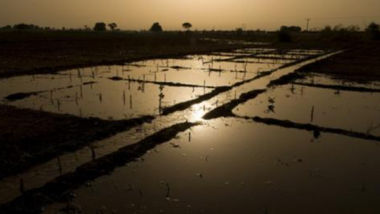 Designing Index Based Weather Risk Management Programs