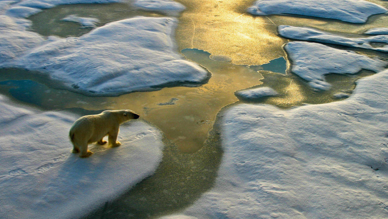 Tipping Points: Climate Change and Society
