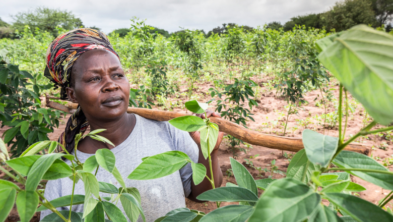 How to monitor and promote policy changes on governance of tenure