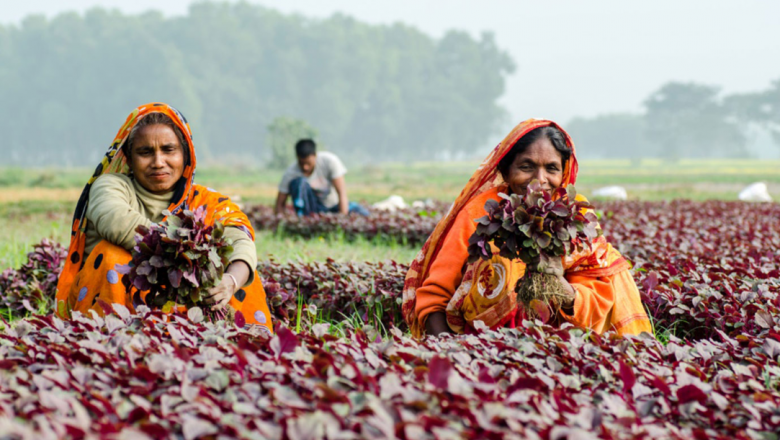 Equal Tenure Rights for Women on Agricultural Land