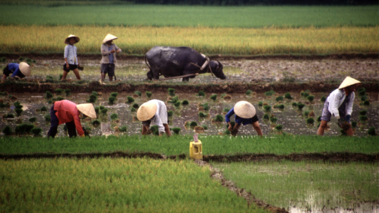 Plant and Animal Genetic Resources