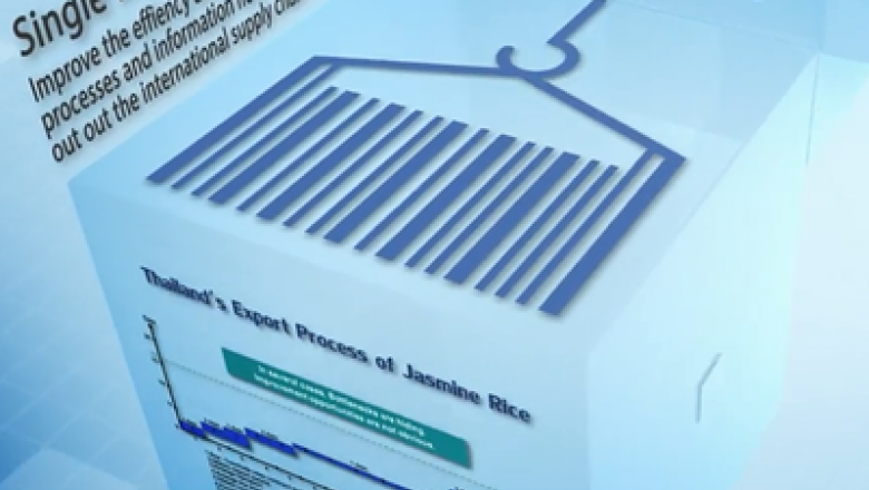 Business Process Analysis for Trade Facilitation