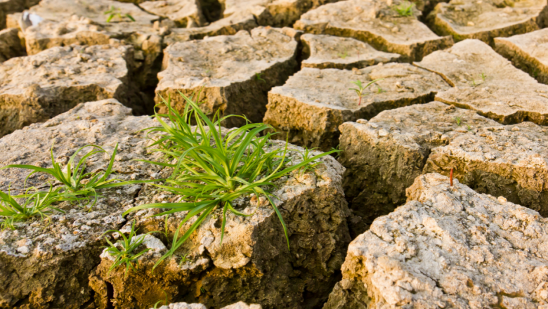 Climate Change and Disaster Risk Reduction in the Arab Region