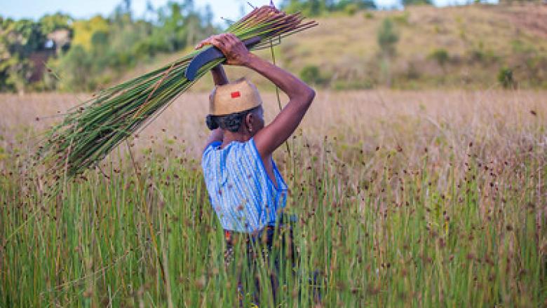 Building Climate Resilience through Ecosystem-based Adaptation Planning cover
