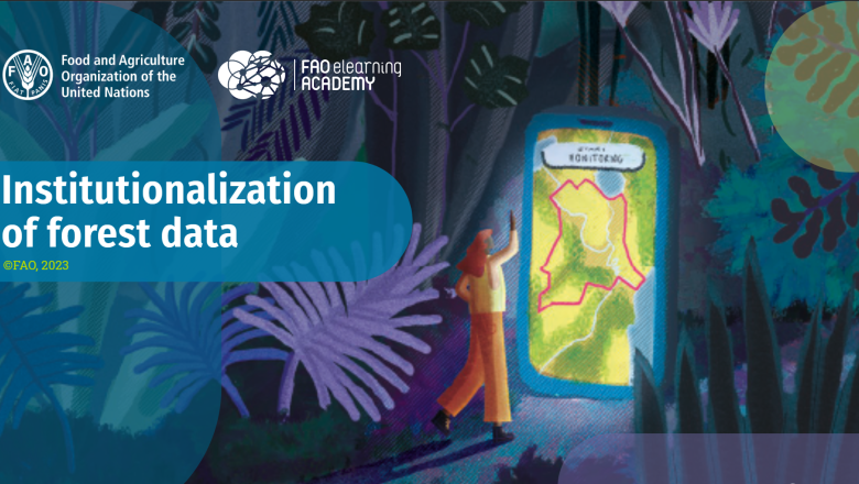 Institutionalization of forest data cover