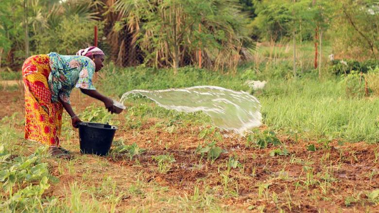 Leveraging LoCAL Experience in Support of Climate Change Negotiations Cover