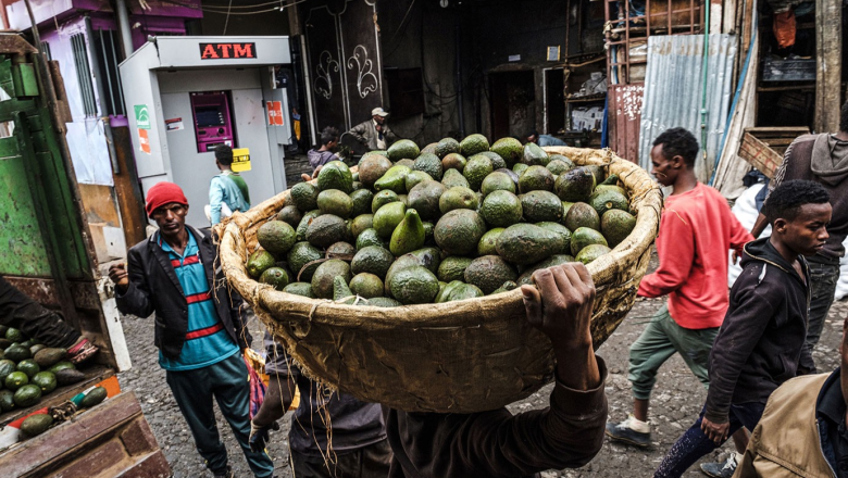 Governance of trade, food security and nutrition