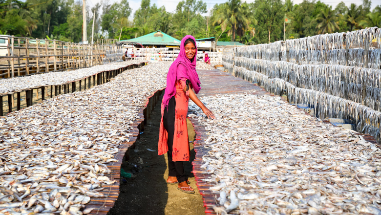 International trade in fisheries and aquaculture products