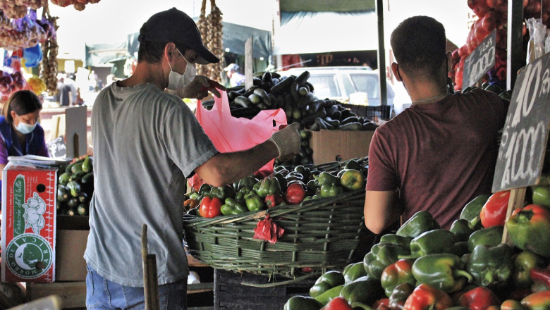 Introduction to trade, food security and nutrition cover