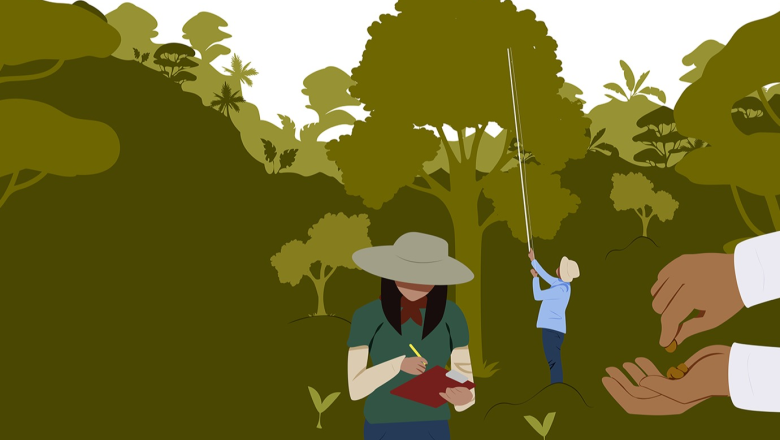 Planning seed and seedling supply for forest and landscape restoration