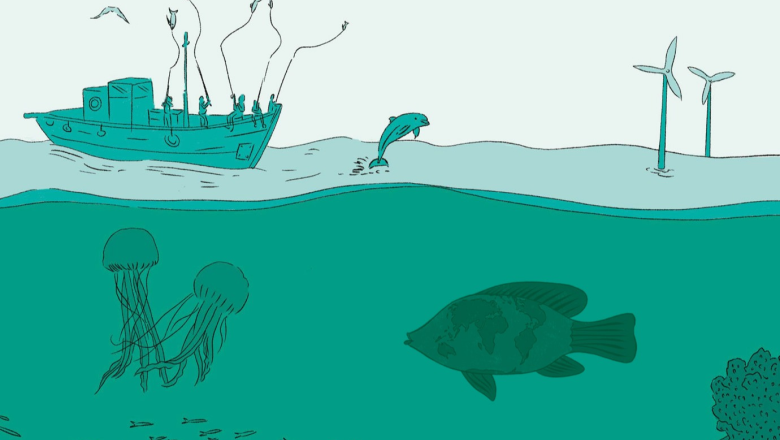 Introduction to other effective area-based conservation measures in marine fisheries