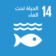 الهدف 14: الحياة تحت الماء
