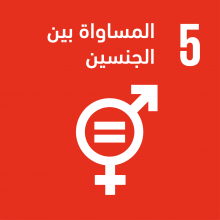 الهدف 5: المساواة بين الجنسين